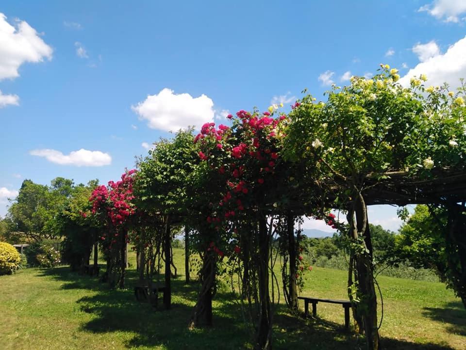 Locanda Rosati Orvieto Zewnętrze zdjęcie