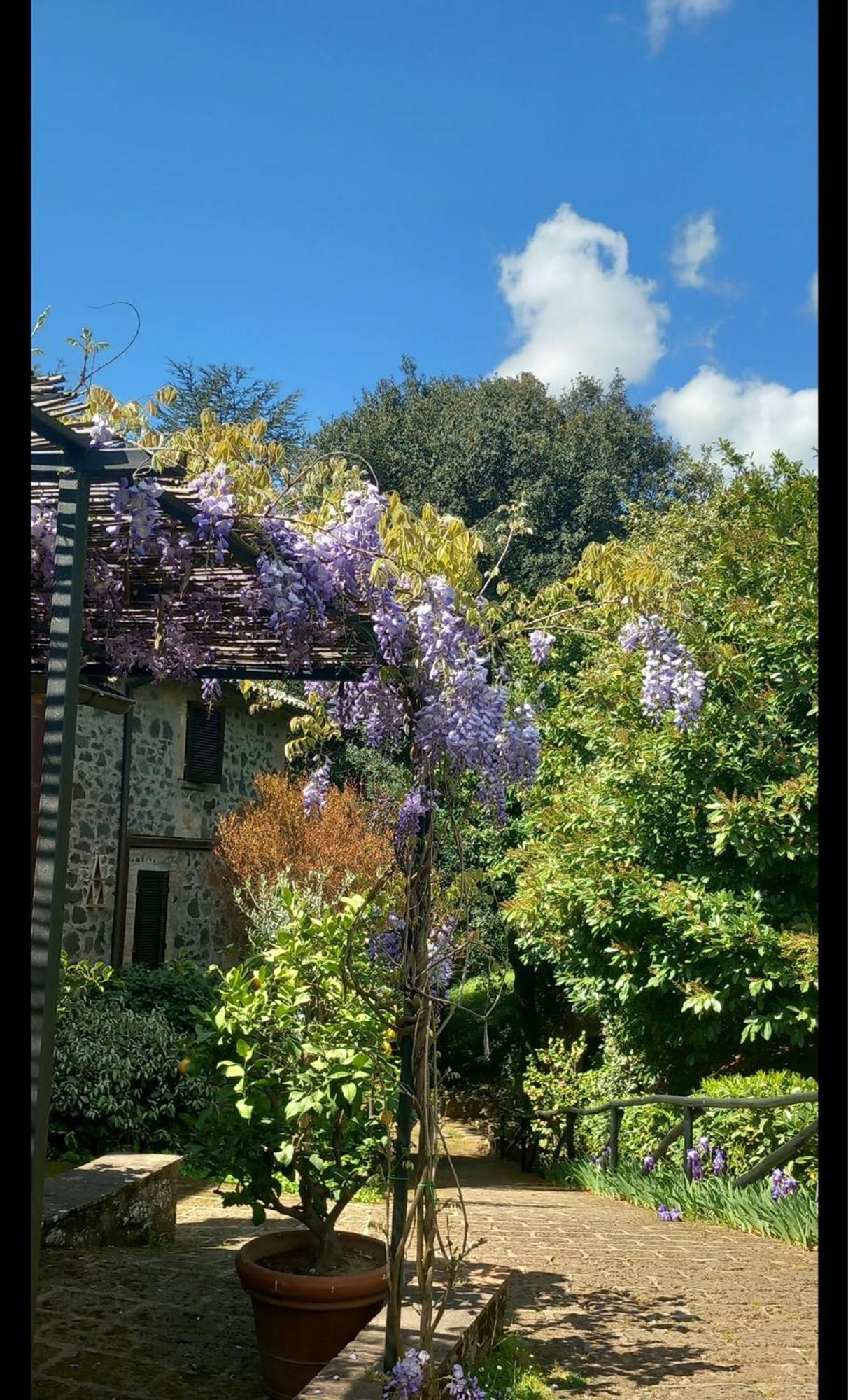 Locanda Rosati Orvieto Zewnętrze zdjęcie