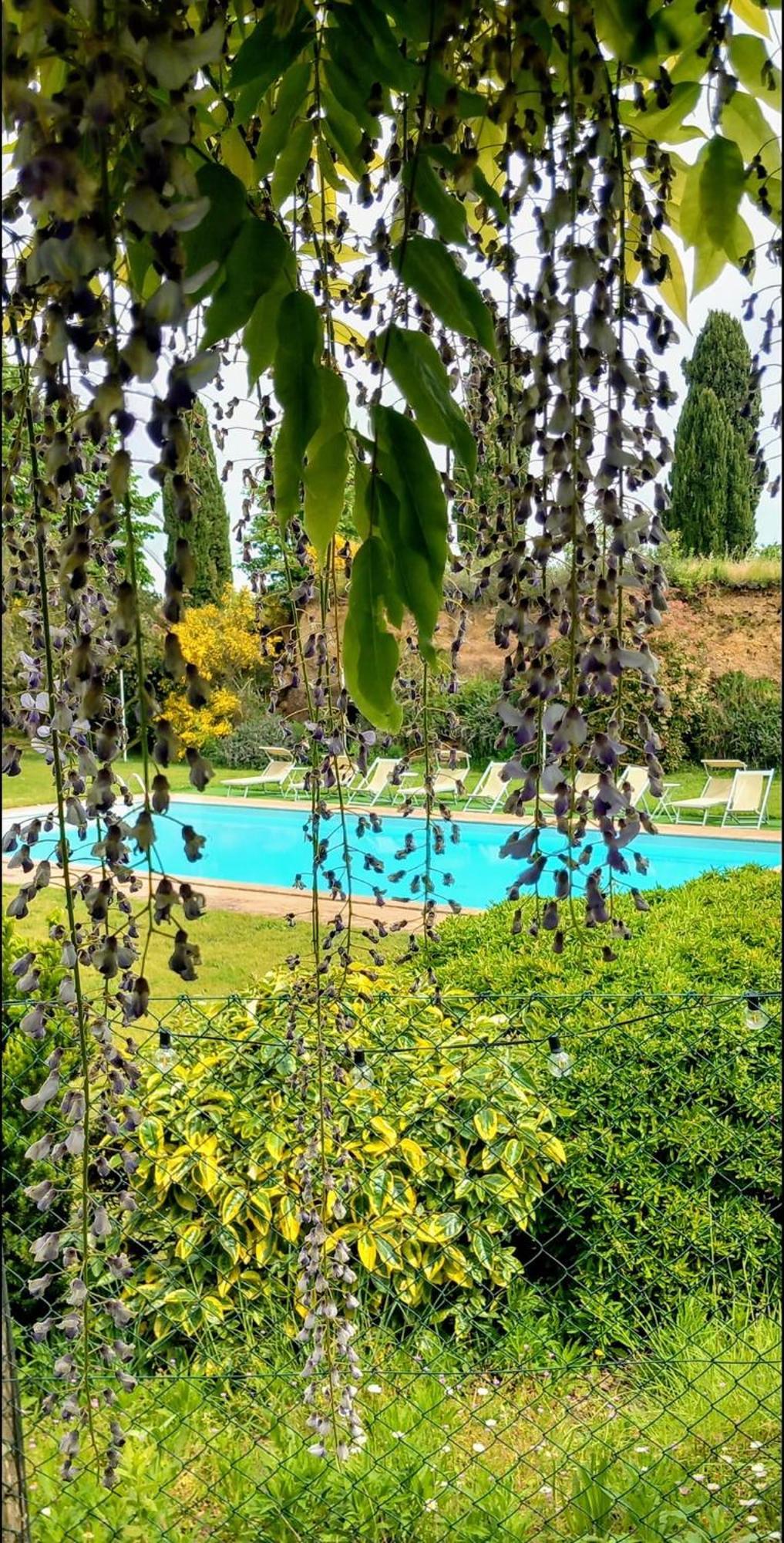 Locanda Rosati Orvieto Zewnętrze zdjęcie