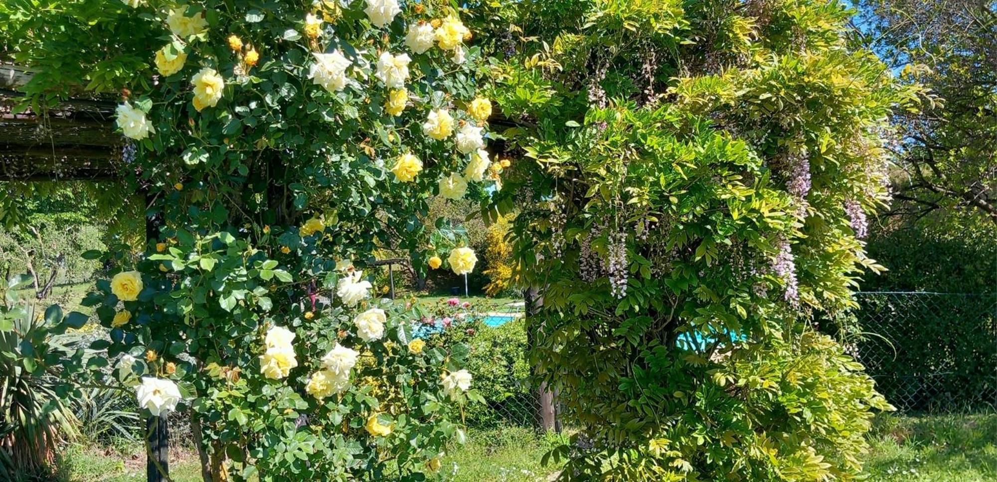 Locanda Rosati Orvieto Zewnętrze zdjęcie