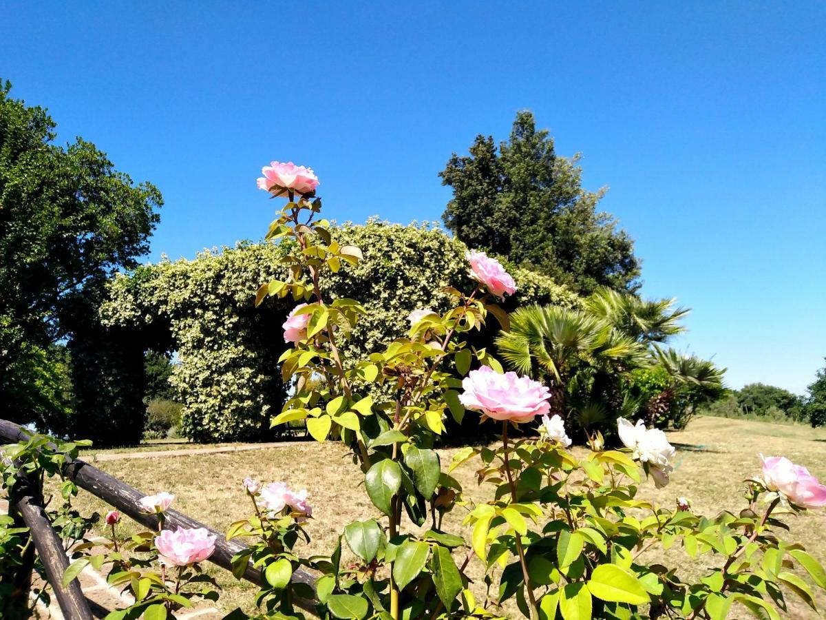 Locanda Rosati Orvieto Zewnętrze zdjęcie